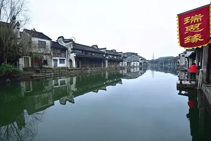 救援淘气的小狗